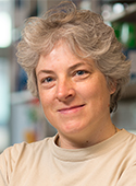 Judy Hirst